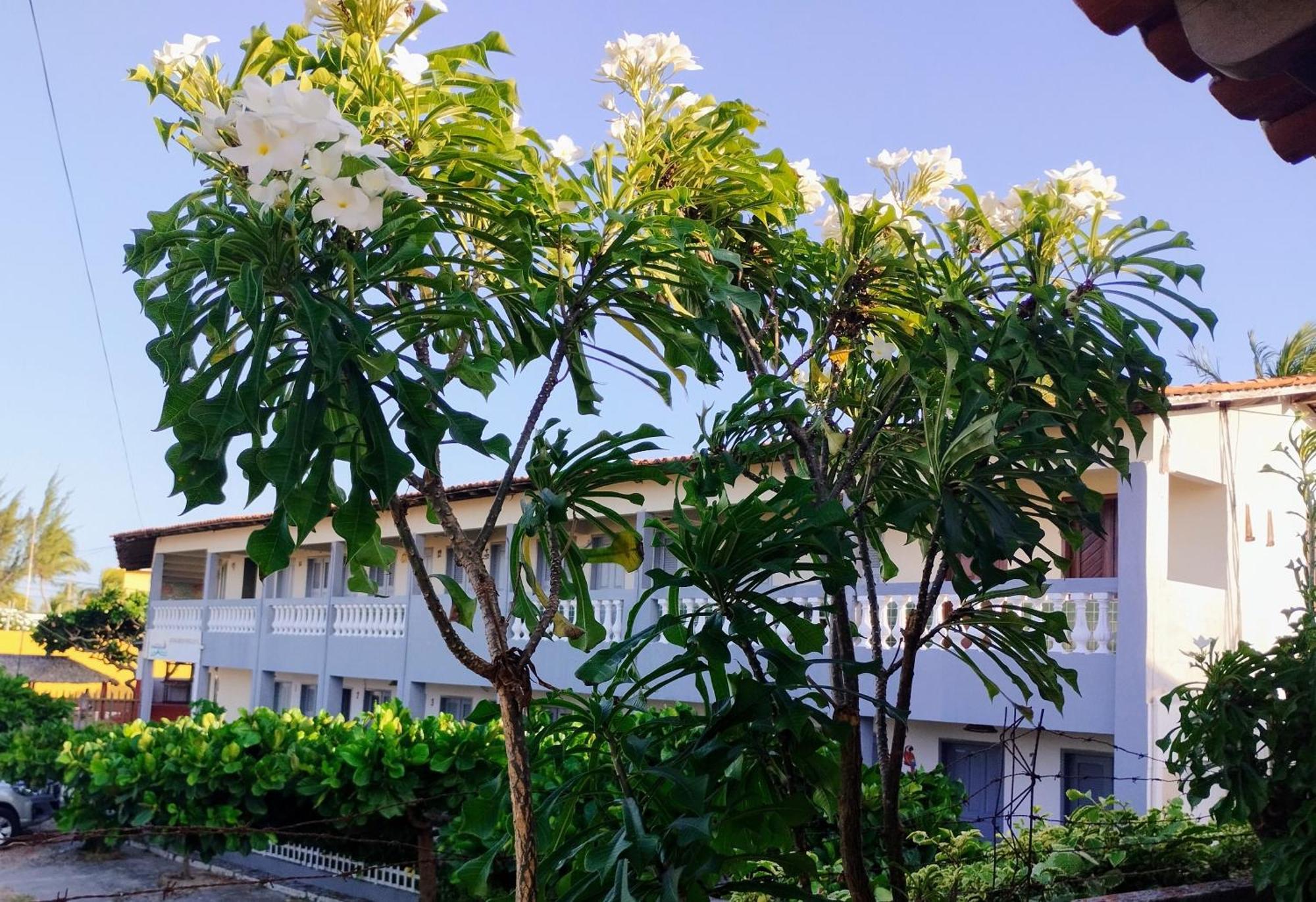 Hotel Pousada Embarcacao Tutóia Exteriér fotografie